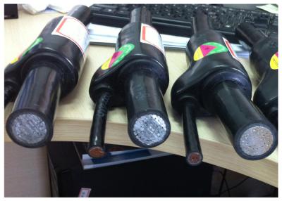 Κίνα Προκατασκευασμένος CCA πυρήνων καλωδίων μόνωσης κλάδων XLPE τυλιγμένος PVC αγωγός προς πώληση
