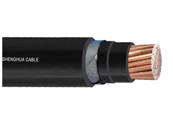 Single Core Armoured Electrical Cable 1kV  Copper Conductor PVC Insulated Stainless Steel Tape Armored Cable