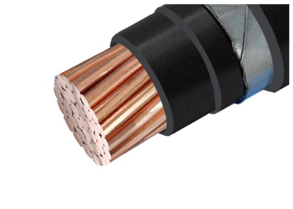 Single Core Armoured Electrical Cable 1kV  Copper Conductor PVC Insulated Stainless Steel Tape Armored Cable