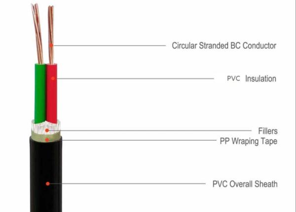 Two Cores Stranded Copper Conductor 1kV  PVC Insulated Cable with PVC sheathed