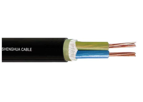 Low voltage 0.6/1kV XLPE Insulated  Power cable IEC standard Two Cores