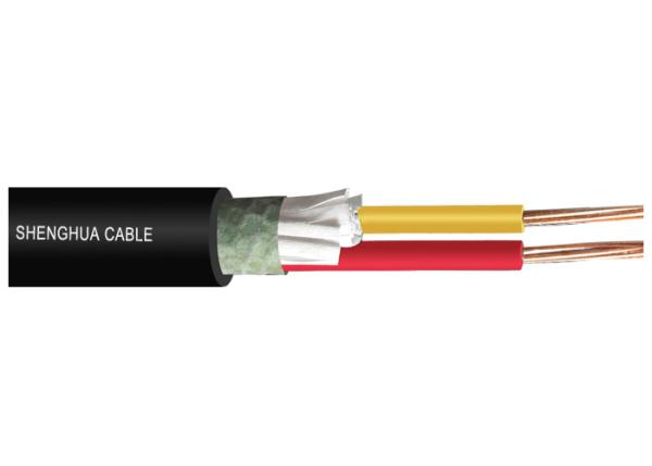 Low voltage 0.6/1kV XLPE Insulated  Power cable IEC standard Two Cores