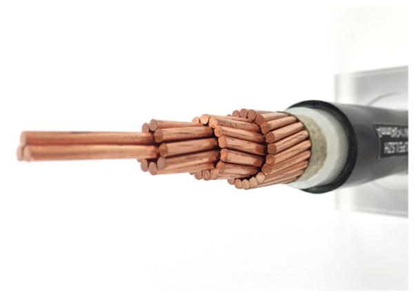 70 Sq mm Concentric Conductor XLPE Insulated Power Cable Eco Friendly YJV N2XCY