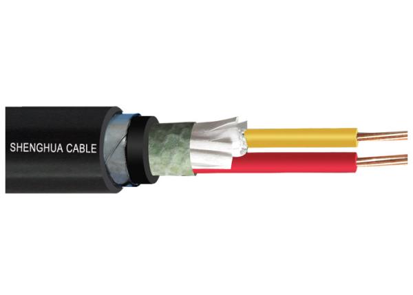 Rigid / Stranded Copper 2 Core 4 Core Armoured Cable For Laying Indoor Outdoor