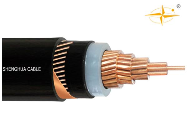 MV 19/33kV CU/XLPE/CTS/PVC XLPE Insulated Power cable with the copper wire screen