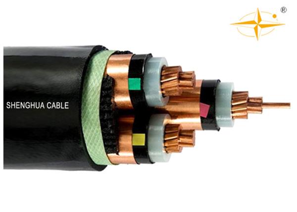 MV 19/33kV CU/XLPE/CTS/PVC XLPE Insulated Power cable with the copper wire screen