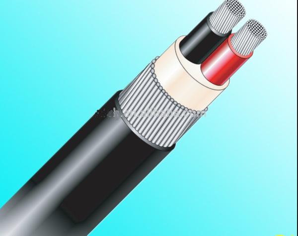 1000V Aluminum Conductor PVC Insulation Cable , Galvanized Steel Wire Armored Pvc Power Cable