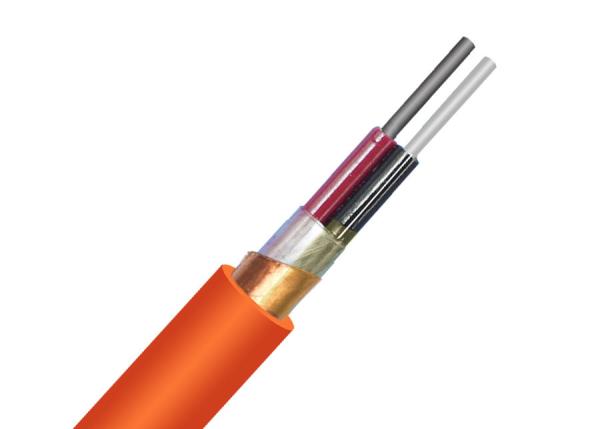 Al Foil Plastic Screen PE Insulation Shielded Power Cable With CU Core