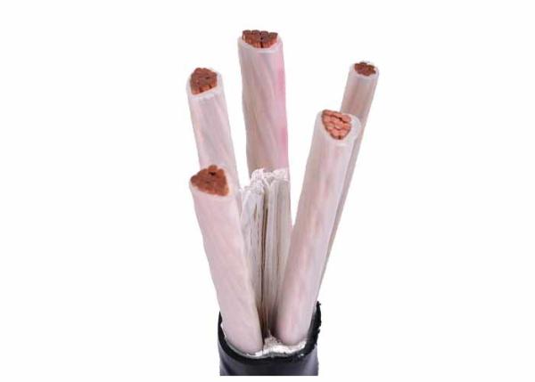 ISO Certificate 1kV Copper Conductor XLPE Insulation Cable Five Cores Power Cable