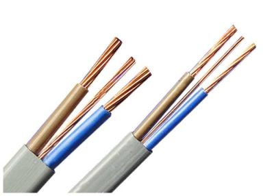Chine À plat fil 2* gris 2,5 de câble électrique du jumeau BS6004-2000 et de la terre + 1.5SQMM à vendre