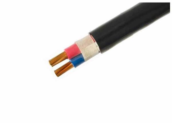 2 core 240mm XLPE Insulated Power Cable Copper Conductor , Armored Electric Cable 0.6/1KV