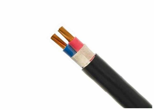 2 core 240mm XLPE Insulated Power Cable Copper Conductor , Armored Electric Cable 0.6/1KV