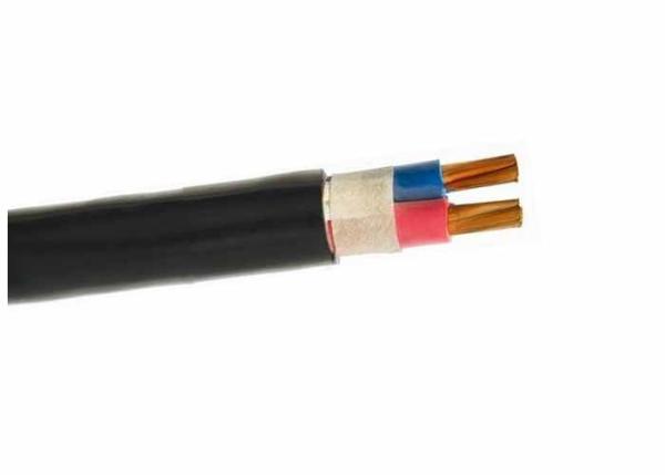 2 core 240mm XLPE Insulated Power Cable Copper Conductor , Armored Electric Cable 0.6/1KV