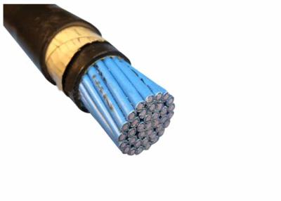 China Multicores Copper Conductor PVC Sheathed Control Cables Steel Tape Armoured Cable 450/750V for sale