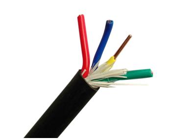 China Four Cores Electrical Cable Wire With Solid Copper Conductor 450 / 750V WIth PVC Sheath for sale