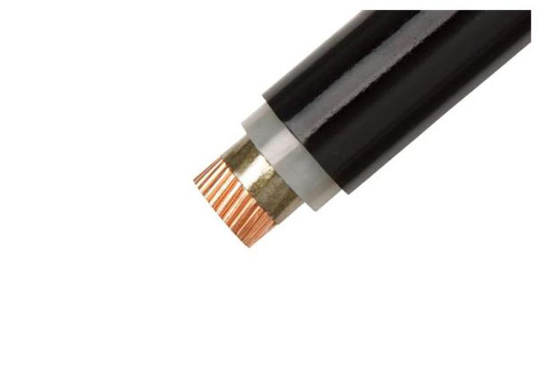 Low Voltage XLPE Insulated Fire Proof Cable PVC Sheathed Copper Conductor