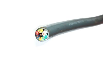 China Stranded Multi Core Armored Power PVC Insulated Cables for sale