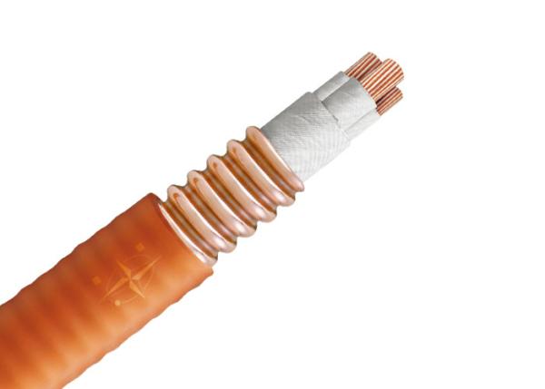 YTTW  0.6/1KV 4x95SQMM High Temperature Electrical Cable 1.0 insulation thickness