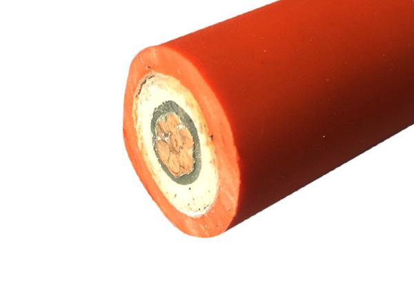 YTTW  0.6/1KV 4x95SQMM High Temperature Electrical Cable 1.0 insulation thickness