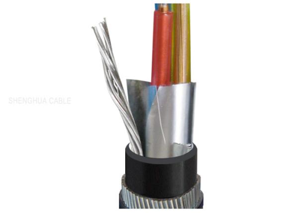 PE Insulated Al Foil Plastic Screen Shielded Instrument Cable  Stranded Copper Conductor