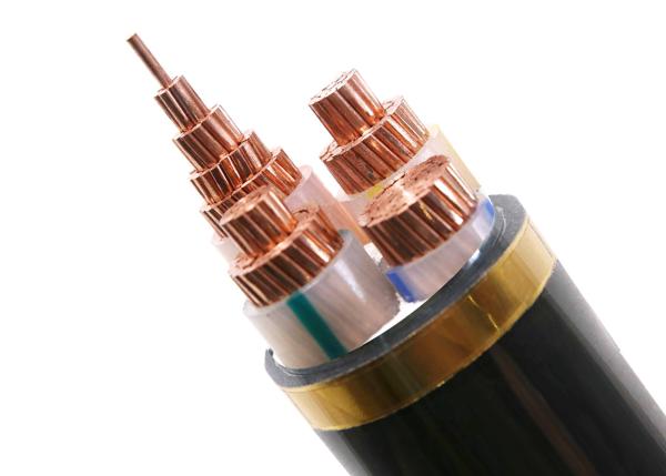 70Sqmm Concentric Conductor XLPE Insulated Power Cable YJV N2XCY