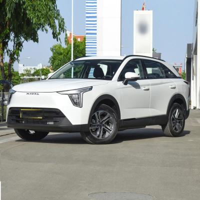 China Compact SUV Gasoline Hybrid Cars Havelong 2023 1.5L 110km for sale