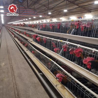 China Hot Galvanized A Type Chicken Cage For Poultry Equipment Farm for sale