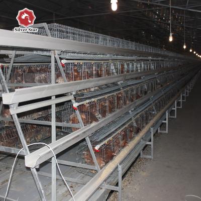 China New Type Battery Chicken Cage Automatic Manure Cleaning System for sale