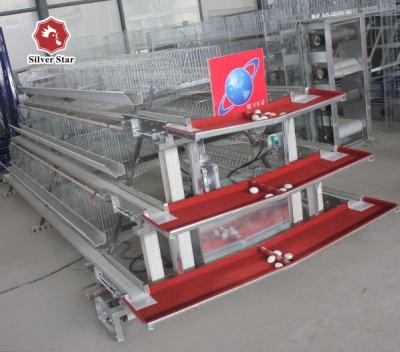 China 10000 Layer Farm Used Battery Chicken Cage 12 Weeks To 16 Weeks for sale