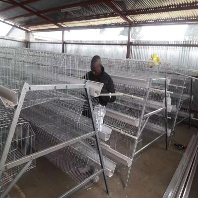 China 10000 Layers New Design Layer Hen Cage Battery Cage Eggs for sale