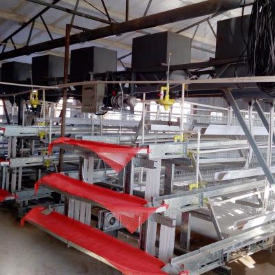 China 3 Tiers A Type Hot Dipped Battery Chicken Layer Cages Automatic Feeding System for sale
