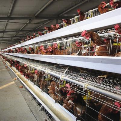 China A Type 3 tiers 90 Birds Chicken Egg Laying Hens Wire Cage Automatic Layer Poultry Equipment for sale