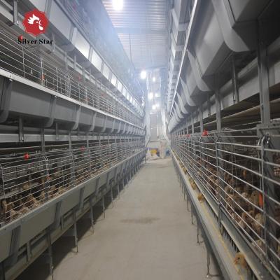 Chine 3 Tiers 4 Tiers H Type Broiler Poultry Farm Automatic Chicken Broilers Cage System à vendre