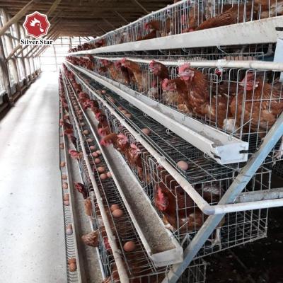 China Layer Farming Equipment Battery Automatic Poultry Cages System for Kenya Farms for sale