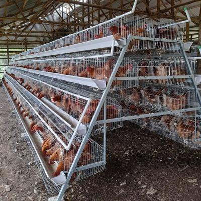中国 3/4 tier 160 birds Egg Layer Chicken Cage For South Africa Poultry Farm Chicken House 販売のため