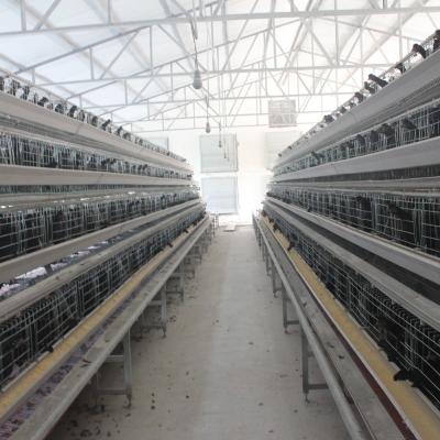 China Design Layer Cage Poultry Equipment Automatic 3 Tiers 4 Tiers A Type Poultry Cages for sale