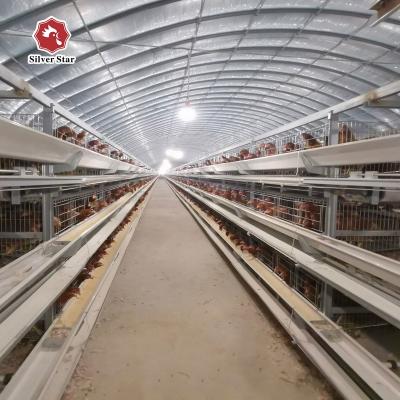 China Automatic System H Type Battery Layer Egg Hens Chicken Poultry Cage for sale