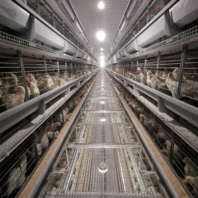中国 Layer Chicken Farming Poultry Equipment Manufacturers Battery Chicken Cages 販売のため