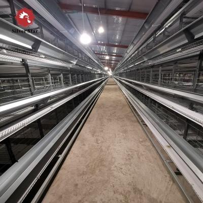 China Modern Automatic Broiler Chicken Farming Equipment H Type Poultry Broiler Cage for Nigeria for sale
