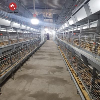 Type complètement automatique de la ferme avicole 5000 H de grilleur de système cage de batterie pour le poulet à rôtir