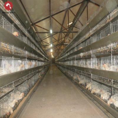 China 3 Tiers Battery Chicken Breeder Cage H Type Hot Dipped Galvanized Egg Layer Hen for sale
