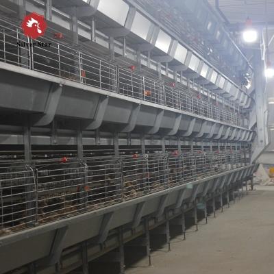 中国 Automatic Chicken Broilers Cage System 4 Tiers 5 Tiers H Type Poultry Farm Shed 販売のため