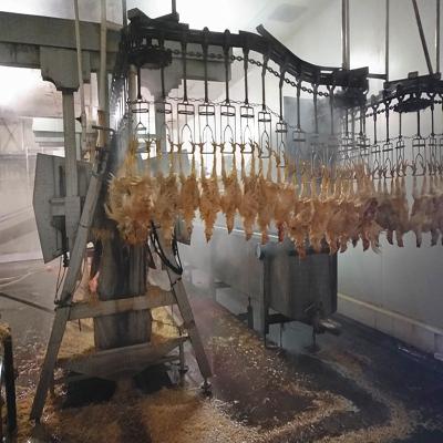 中国 装置の鶏の虐殺の行を屠殺している304 500BPH自動家禽 販売のため