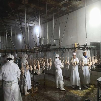 China Linha 10000BPH da chacina da galinha do equipamento da matança das aves domésticas de 3000 pássaros/H à venda