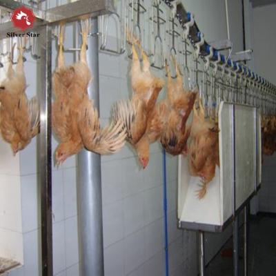 China Equipamento de cultivo das aves domésticas de 300 galinhas/H que escalda arrancando a máquina da matança à venda