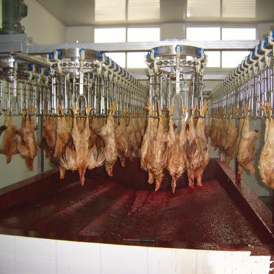 China Pollo automático del equipo del matadero 500PCS que cultiva la línea de las aves de corral en venta