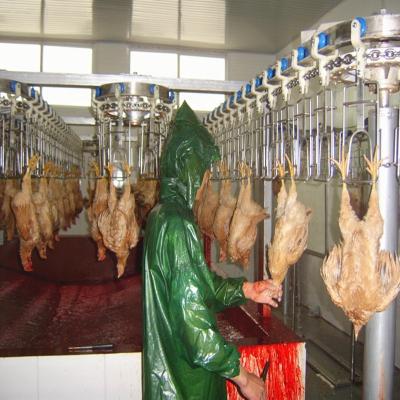 China Halal Poultry Automatic Chicken Slaughtering Machine 300BPH To 10000BPH à venda