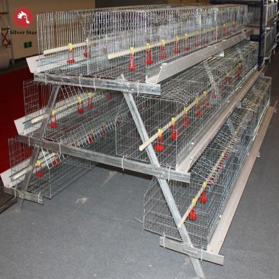 China 144 Birds Broiler Breeder Battery Chicken Cages Layer 3 Tiers A Frame for sale