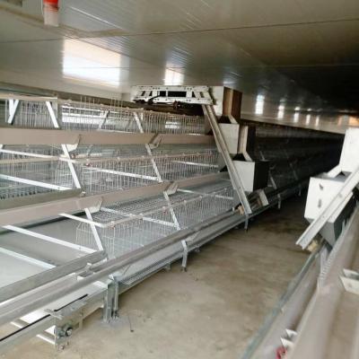 China 3-4 Doors Automatic Battery Chicken Cages 160 Chickens With Egg Collecting System for sale