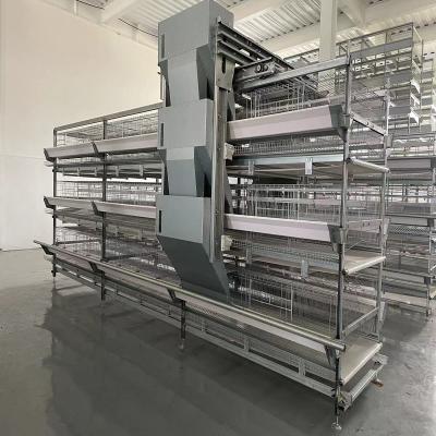 Chine Egg Layer Battery Chicken Cage For 30000 Layers Fully Automatic Poultry Cage System à vendre